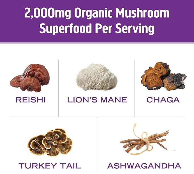 OM MUSHROOM SUPERFOOD Hot Chocolate Blend – Dutch Cocoa Mushroom Powder with Lion’s Mane, Reishi, Chaga & Turkey Tail – Focus, Calm & Stress Support – 2g Sugar, 25 Calories – Single Serve (10 Count)