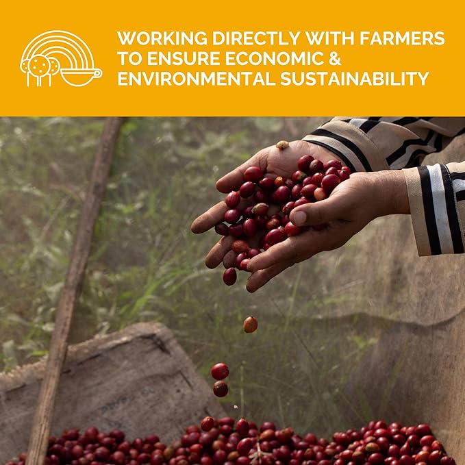 Stone Creek Coffee Light Roast Whole Bean Coffee – 12 Ounce (Pack of 1) – Smooth Specialty Fresh Roasted Coffee Beans with Juicy and Citrus Tasting Notes, Boneshaker Colombia