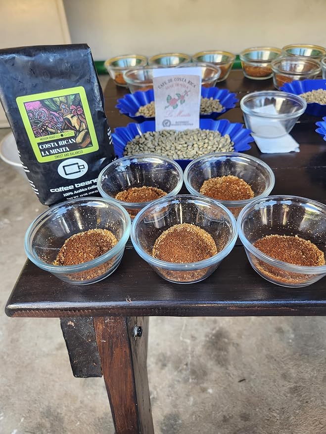 Costa Rican La Minita Specialty Coffee | (1)12oz. Coffee Medium Roast (Automatic Drip Ground)