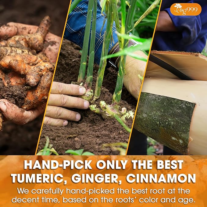 TOG999, Premium 20oz Ginger Turmeric Cinnamon Loose Leaf Herbal Tea - Premium Quality Spiced Herbal Blend – Caffeine-Free, Non-GMO, Natural Dried Roots and Bark. Vegan-Friendly.