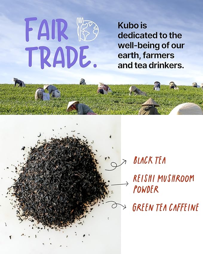 High Caffeine Mushroom Tea (155 mg) – Kubo Tea: Organic Reishi Breakfast Black Tea Bags for Clean Energy & Focus | Healthy Coffee Substitute | Mushroom-Infused Blend | 20 Ct | Compostable Packaging