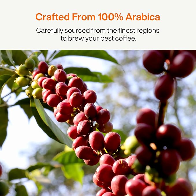SATURNBIRD Instant Coffee Cold Brew，Coffee Packets of French Roast, 100% Arabica, Enjoy Hot/Cold Freeze Dried Iced Coffee, 24 Single Servings for Home, Travel, Office (NO.6)