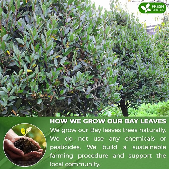 FreshDrinkUS, Premium 4.5oz Bay Leaf Powder, Unprocessed Ground Bay Leaves Dried, 100% Pure & Natural, Pure from Bay Leaves, Bay Leaf Spice, No Additives, No Gluten, Vegan.