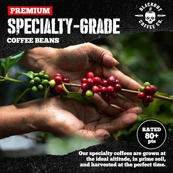 Blackout Coffee Smooth Finish Ground Coffee – Light Roast, Aromatic Smooth Taste – Freshly Roasted 12oz Bag