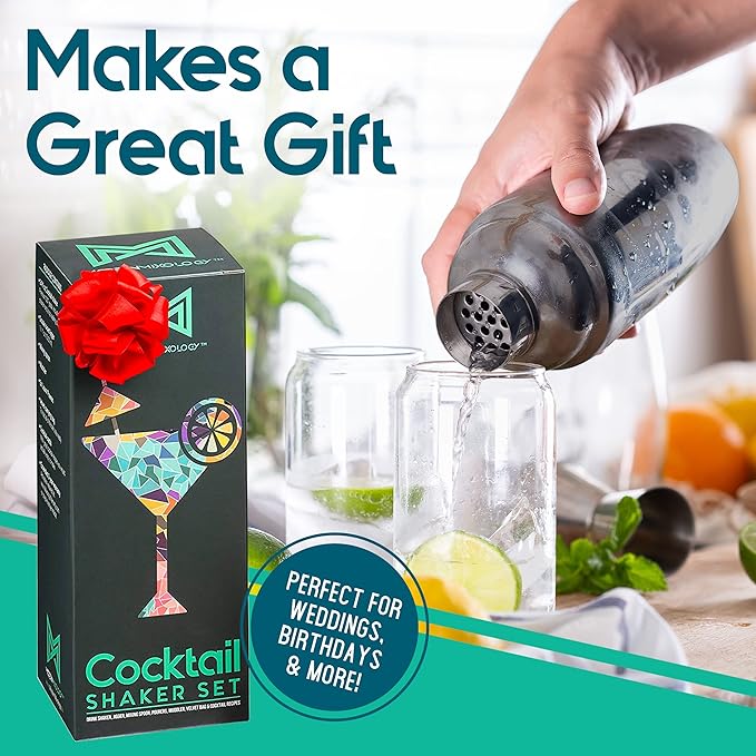 Modern Mixology 8-Piece Cocktail Shaker Set, 24oz Stainless Steel Bartender Kit with Velvet Giftable Bag, Curated Travel Cocktail Kit for Hosting Essentials (Black)