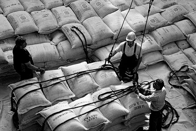 Bristot Cremoso Double Espresso Capsules – Medium Roast – Intense, Creamy, Full-Bodied – 11.2g – Compatible with Lavazza Blue Machines – 50 Count*