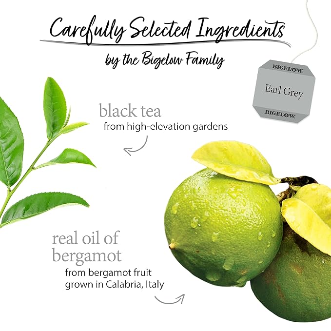 Bigelow Tea Earl Grey Black Tea, Caffeinated Tea, 40 Count Box (Pack of 6), 240 Total Tea Bags