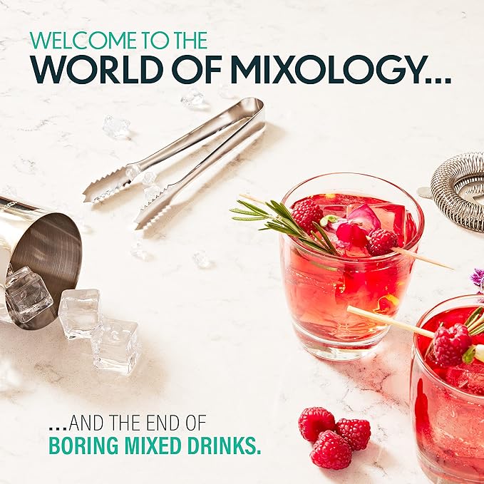 Modern Mixology 21-Piece Cocktail Shaker Set with Stand, Bartender Kit for Home Bar Accessories: 24oz Martini Shaker, Jigger, Strainer, Bar Spoon, Tongs, Opener, Muddler (Silver, Dark Brown Stand)