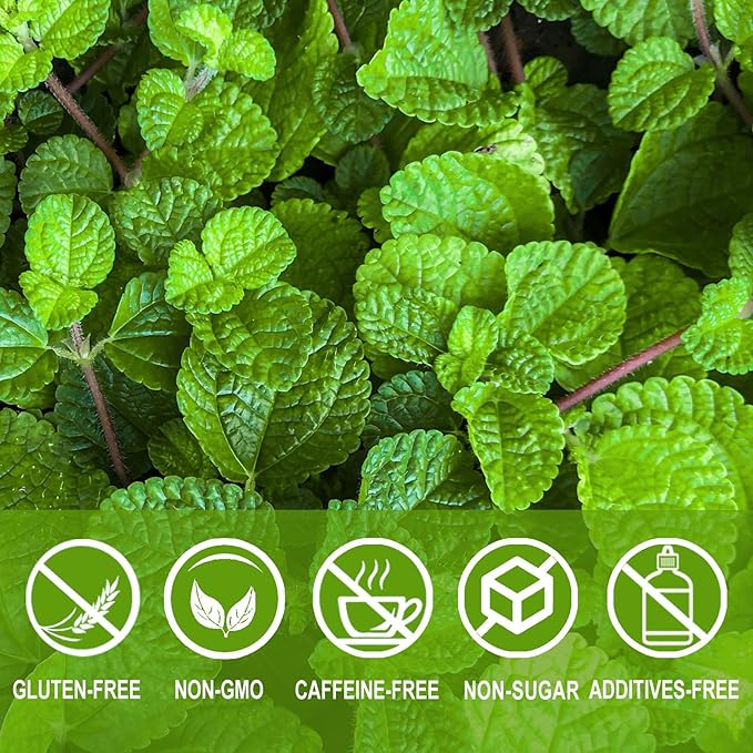 Jarteela - Spearmint Tea Bag, 1.5g x 60 Count - Pure Spearmint Leaves - Natural Herbal Tea Bags for Digestion - Non-GMO - Caffeine-free Tea