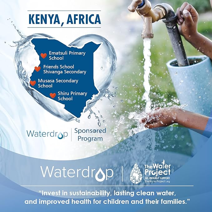 Waterdrop Coffee Water Filter, Replacement for Brita® Intenza+® Water Filter Gaggia®, Philips®, Saeco®, CA6702/00, Gaggia® Filter, TÜV SÜD Certified (Pack of 2)