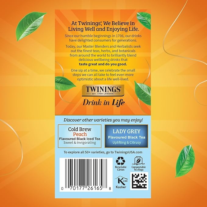 Twinings English Classic Cold Brew Iced Tea Bags, 20 Count (Pack of 6), Unsweetened Black Tea, Caffeinated, 120 Teabags