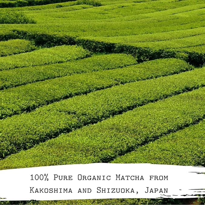 The Matcha Tribe Organic Ceremonial Grade Matcha Powder – Matcha Green Tea for Lattes | First-Harvest Stone-Ground Japanese Matcha Tea from Uji & Kagoshima, Japan | 30g Tin