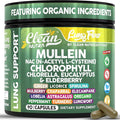 Clean Nutra Mullein Leaf Extract for Lungs Cleanse NAC Supplement Chlorophyll Chlorella Elderberry | Lung Detox for Smokers | Ginger Licorice Astragalus Oregano Turmeric Respiratory Support Capsules