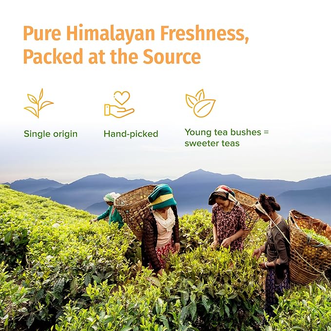 NEPAL TEA Organic Black Loose Leaf Tea - USDA Certified Organic with Gold Tips - Single Origin from a Family Farm in the Himalayas - 3.5 oz / 100g Award-Winning (Kumari Gold)