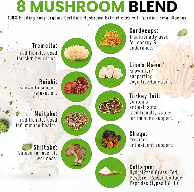 PowderVitamin Organic Ceremonial Mushroom Matcha Certified Pesticide-Free Grass-Fed Collagen Types I & III, 8 Fruiting Body Mushrooms Tested for Beta-Glucans Focus Digestion & Immunity 15 Servings