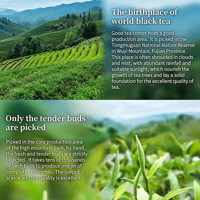 XIXICHA Jin Jun Mei Tea Premium Golden Monkey Tea Loose Leaf Black Tea Chinese Authentic Wuyi Mountain Black Tea No additives All-natural 120g/4.23oz （20 bags）金骏眉袋泡 独立包装茶叶