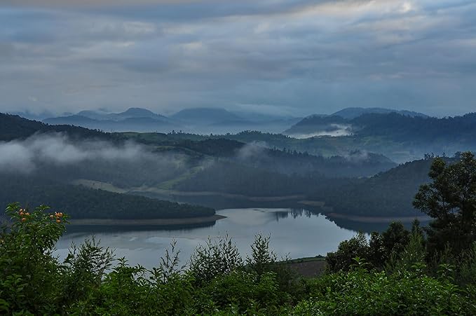 Yeri Coffee CHICORY CHIC Blend – Ground Coffee with Chicory, Dark Roast, New Orleans & South Indian Style, 12 oz Bag, Low Acidity