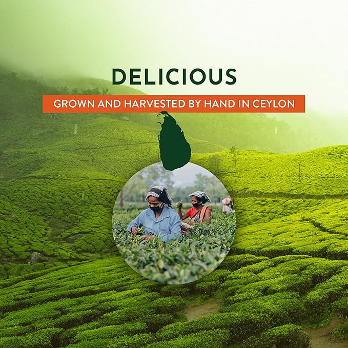 tekola Tea Co. - Ginger Tea, Premium Blend, Processed and Packed in Ceylon, Black Tea Loose Leaf with Natural Ginger Root, Robust and Flavorful Sweet and Spicy, 3 Ounces Pouch