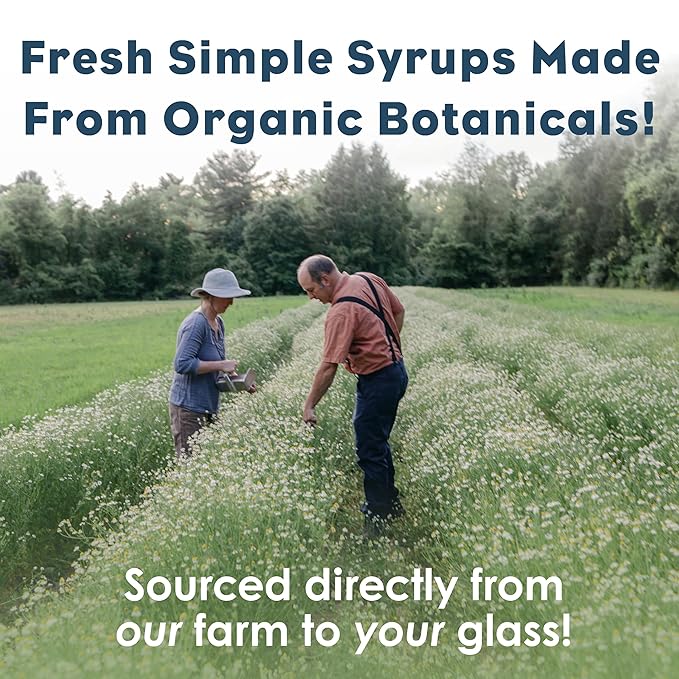 Bluestem Botanicals Organic Chicory Simple Syrup, 8 oz, Cocktail and Mocktail Mixer for Drinks, Non-Alcoholic