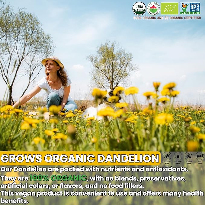 USDA Organic Dandelion Root Tea Bags , Roasted Coffee Substitute & Liver Kidney Cleanse Tea, Digestion & Bloating Relief Support, 100% Organic & Pure Dandelion Root, Non-GMO, Caffeine Free, 50 teabags Eco-Conscious Corn Fiber