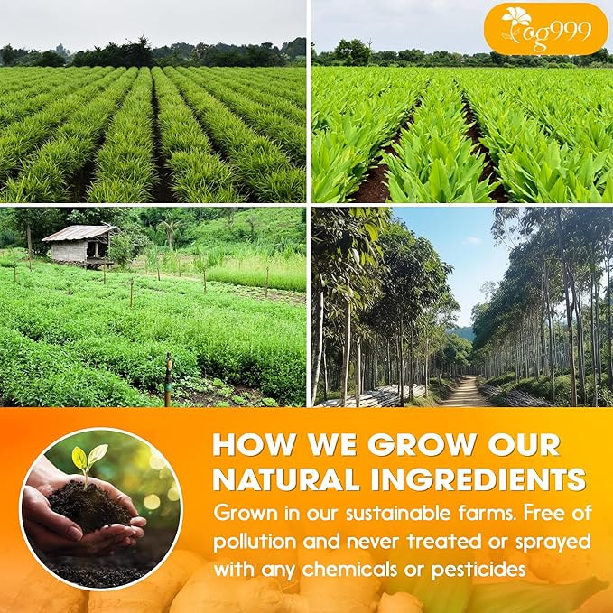 TOG999, 20 Tea Bags of Ginger, Turmeric and Cinnamon, 100% Natural, Hand-made Blend of Ginger, Turmeric, Cinnamon, Orange Peel, Black Pepper, Hawthorn Berry and Jasmine. No Sugar, No Caffeine, No Gluten, Vegan.