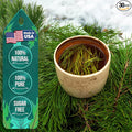 USA Fresh White Pine Needle Tea – 100% Pure Wild-Harvested USA Pine Needles, Fresh Aromatic Herbal Tea, No Additives, Premium Loose Leaf, Natural Forest Flavor (1oz)