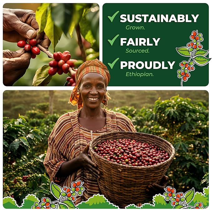 GO RA COFFEE – Ethiopian Roast Whole Bean – Organic Arabica from Ethiopia – Mycotoxin-Free, Single Origin African Beans – Roasted at Source – 250g (8.82 oz) – by Moyee Coffee