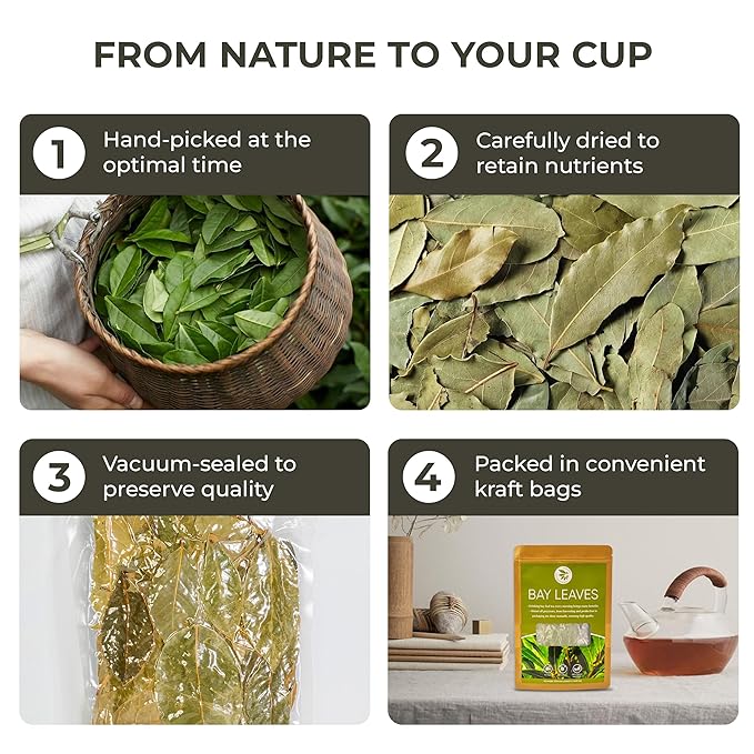 Bay Leaves Tea - 550 Dried Whole Leaves, 4.06 oz, Hojas de Laurel, 100% Natural Sun Dried, Caffeine-Free Herbal Tea, For Brewing or Cooking, Immune & Wellness Support