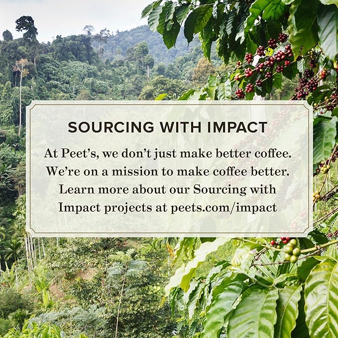 Peet's Coffee, Medium Roast Decaf Espresso Capsules, Compatible with Nespresso Original Machine - Decaf Ristretto Intensity 10, 100 Count (10 Boxes of 10 Espresso Capsules)