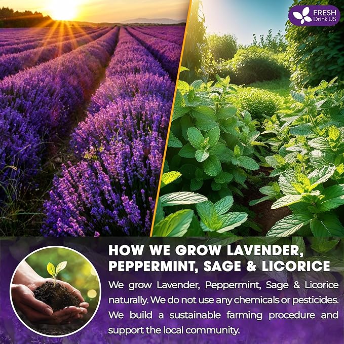 FreshDrinkUS, Premium 135 Tea Bags Lavender Mint Tea, 100% Natural, Blend of Lavender, Peppermint, Sage and Licorice. Made with Natural Material Tea Bags. No Sugar, No Caffeine, Vegan.