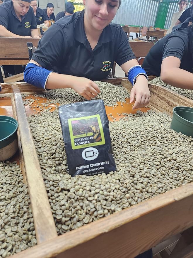 Costa Rican La Minita Specialty Coffee | (1)12oz. Coffee Medium Roast (Automatic Drip Ground)