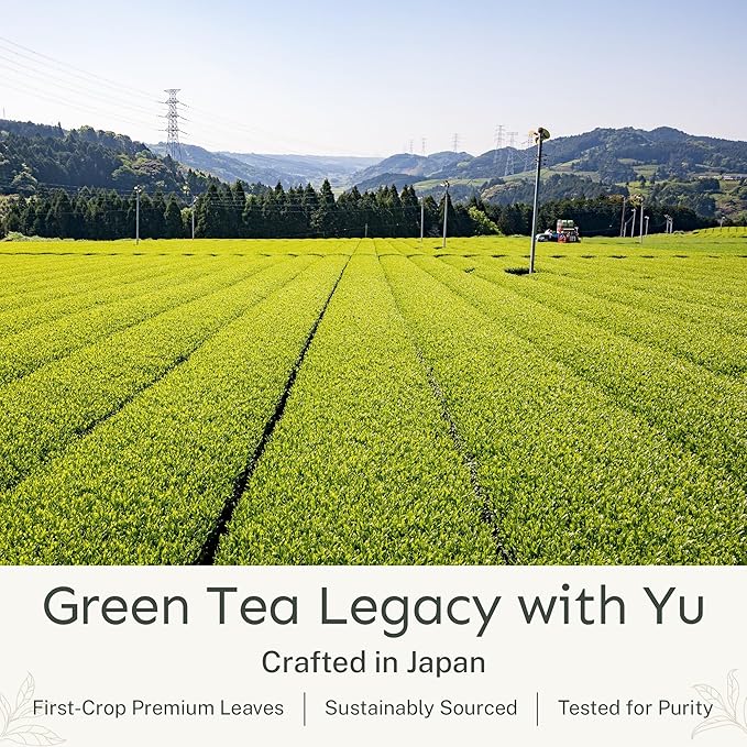Yu Tea Decaf Organic Sencha Green Tea Powder, 30 Instant Packets | Rich in Antioxidants, EGCG, & L-Theanine | Pure Japanese First Harvest Leaf | Caffeine-Free & Unsweetened | Single Serve Sticks