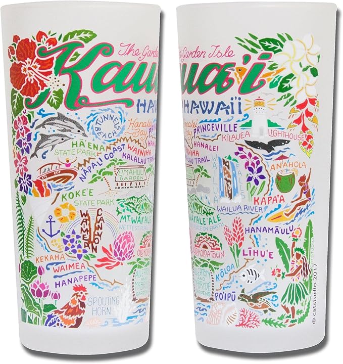 Catstudio Drinking Glass, Kauai Frosted Glass Cup for Kitchen, Drinking Glasses, 15oz Dishwasher Safe Tumbler, Wedding Gifts