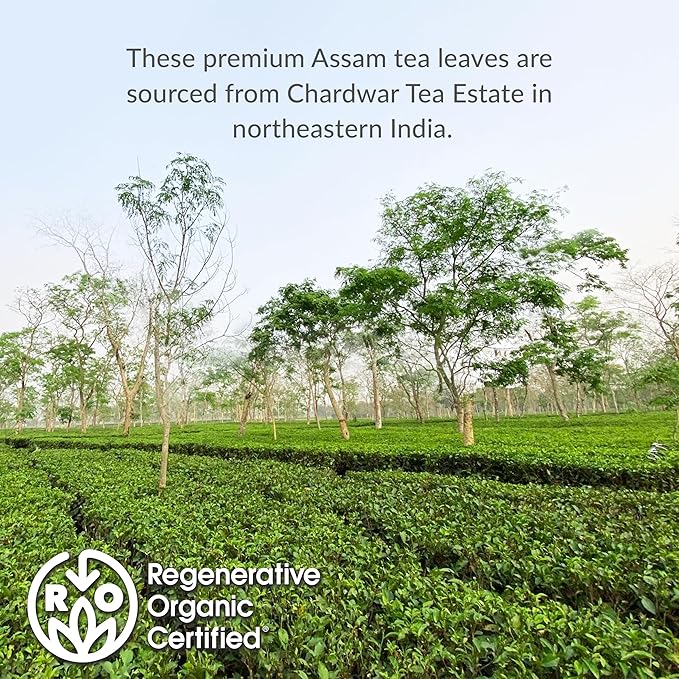 The Republic of Tea – Organic Assam, 36 Naturally Caffeinated Black Tea Bags, Regenerative Organic Certified