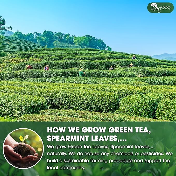 TOG999, Premium Matcha Green Tea Bags | 60 Count | Blend of Sencha, Green Tea, Spearmint & Orange Slices – Refreshing Flavor, Naturally Vibrant, No Gluten. Vegan.