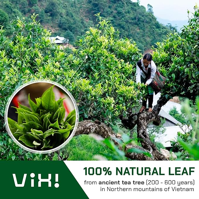 VIXI Green Tea Bags, 100 Counts, Vietnam's Mountain Tea, Antioxidant, Caffeinated, Tagless, Plastic Free, Balanced Flavored, 100% Natural for Hot, Iced and Cold Brew