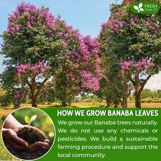 FreshDrinkUS, Premium 40 Banaba Tea Bags, 100% Natural & Pure from Banaba Leaves. Loose Leaf Banaba Herbal Tea. No Sugar, No Caffeine, No Gluten, Vegan.