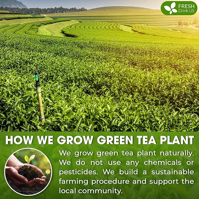 FreshDrinkUS, Organic 1.5 oz Luxury Ceremonial Grade Matcha | USDA - Premium Japanese Green Tea Powder | Stone-Ground Shade-Grown Leaves | Rich Umami Flavor, Vibrant Color & Smooth Finish