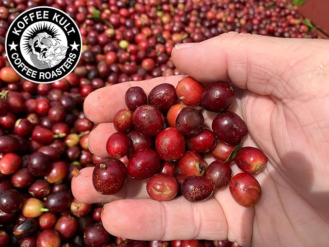 Koffee Kult Thunder Bolt Dark French Roast Whole Bean Coffee - Small Batch 100% Arabica Gourmet Blend, Bold and Well Balanced, 80oz Resealable Package