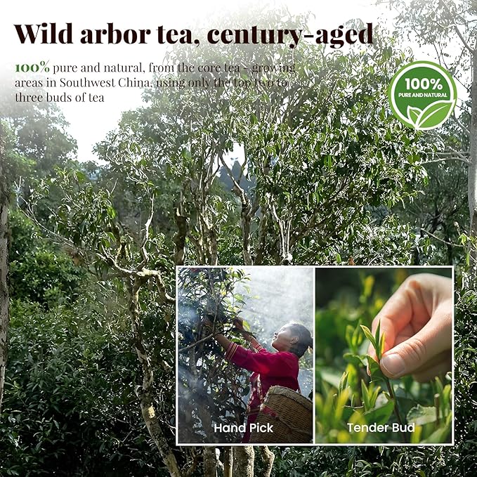 The Spring Tea Premium Grade Wild Tree Black Tea From 300+ Year Old Tree, Loose Leaf Tea, Organic, With Individual Pack, Just harvested in Spring 2025, Exquisite, Handpicked, Gift Package, 3.5oz/100g