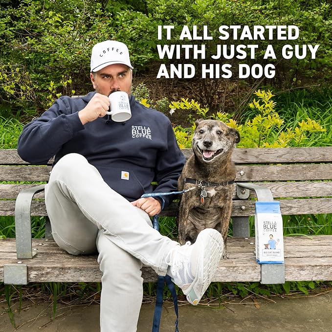 Stella Blue Cold Brew Coffee Bags, Blueberry Muffin, Medium Roast Ground Coffee, Smooth, Bold and Refreshing 100% Arabica, 6 Brew Packets, Makes 24 Cups, Rainforest Alliance Certified