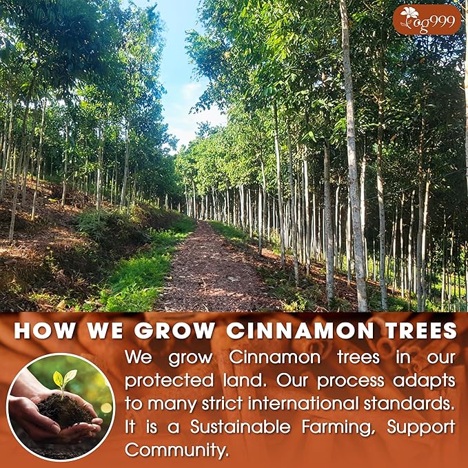 TOG999, Premium 135 Tea Bags - Special Cinnamon Tea, 100% Natural & Pure. Cinnamon Stick Herbal Spice Tea. No Sugar, No Caffeine, No Gluten, Vegan.