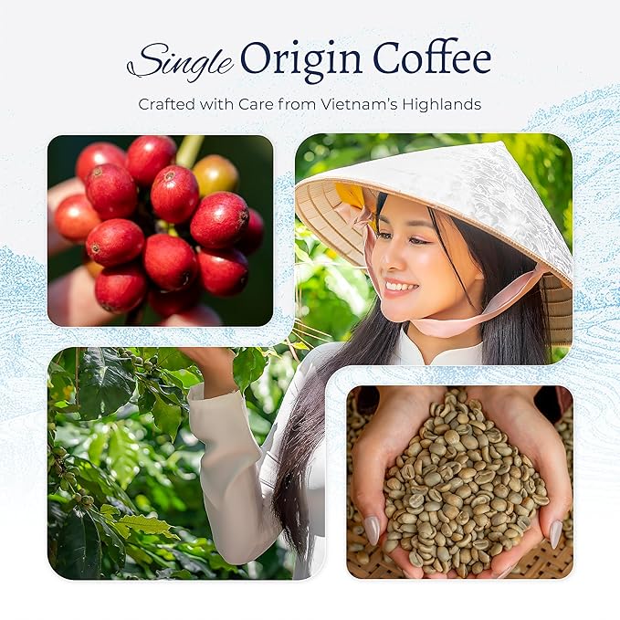 Blu Ore Premium Vietnamese Coffee Pods - Dark Roast - Recyclable Single Serve K-Cup Compatible (24 Count) - 100% Arabica Coffee, No Preservatives or Artificial Flavor