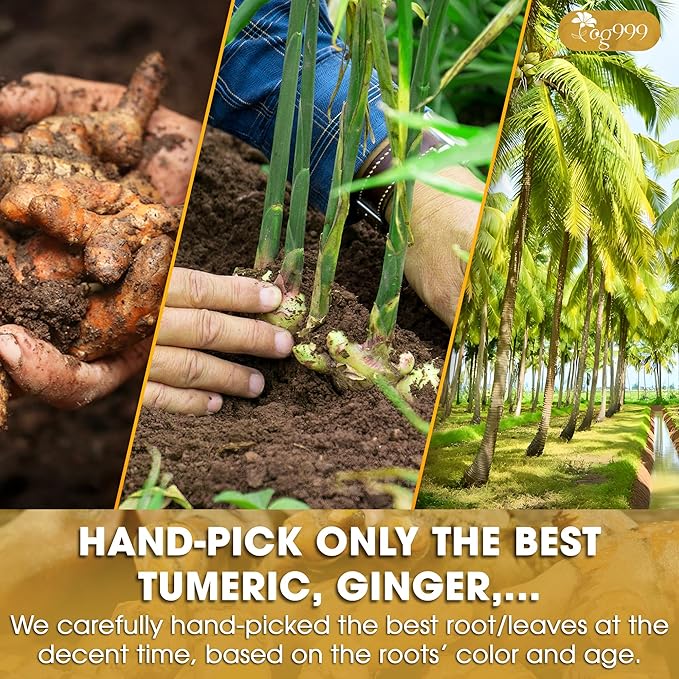 TOG999, Premium 8oz Golden Milk Powder - Turmeric, Cinnamon, Ginger & Black Pepper – Natural Spice Blend for Lattes, Smoothies & Baking – Non-GMO, No Additives.