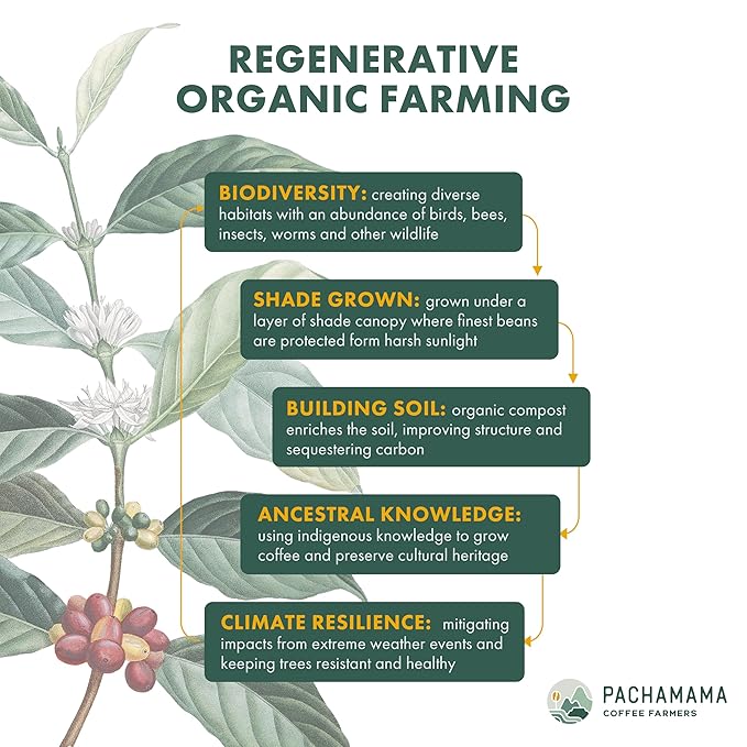 Pachamama Organic Coffee - French Roast Dark Roast Whole Bean Coffee - 2 lb - Farmer Owned & Regenerative