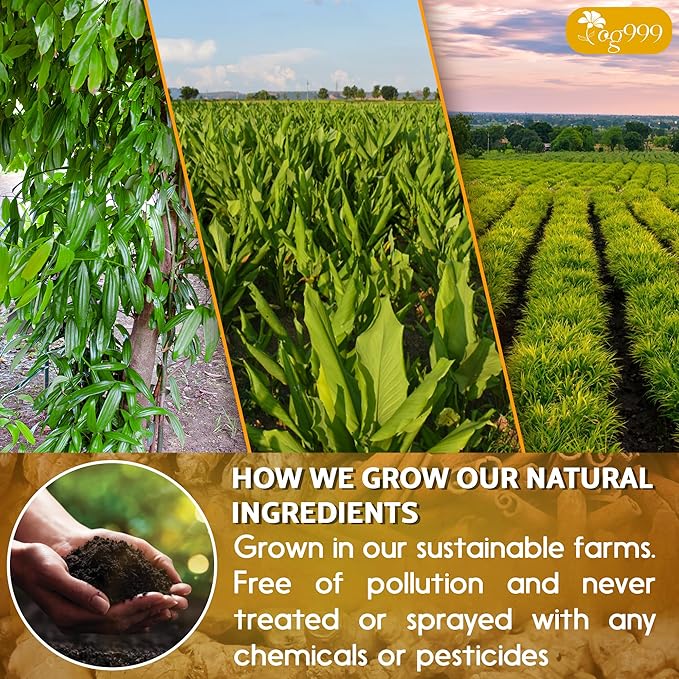 TOG999, 30 Bags Premium Turmeric Ginger Cinnamon Tea. Upgraded Version. Improve Digestion, Support Brain, Weight, Skin and Sleep. Eco-Conscious Tea Bags. No Sugar, No Caffeine, No Gluten, Vegan.