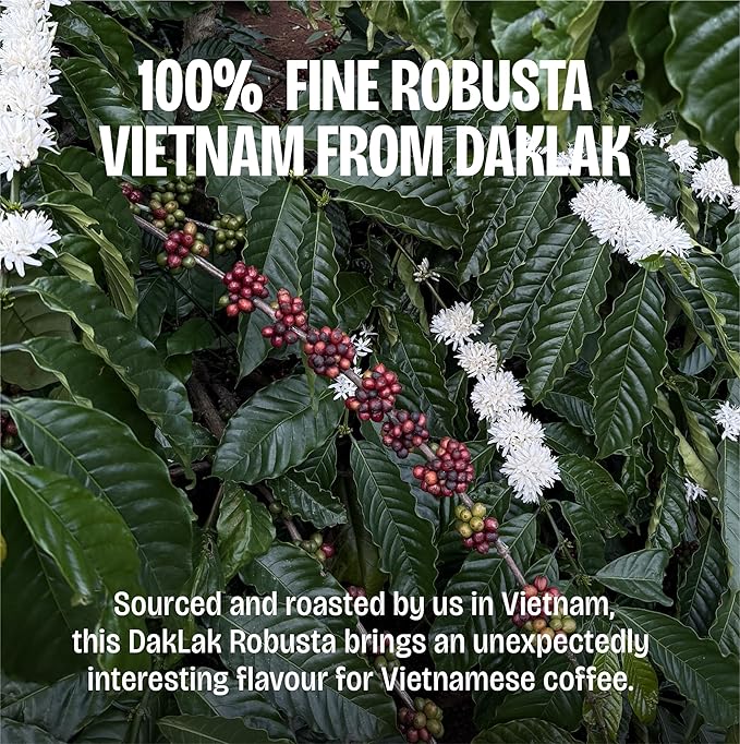 Every Half Coffee Roasters - 100% Fine Robusta Vietnam - Whole Bean Coffee Dark Roast - Low Acid, Fresh Roasted, Single Origin 12 Oz