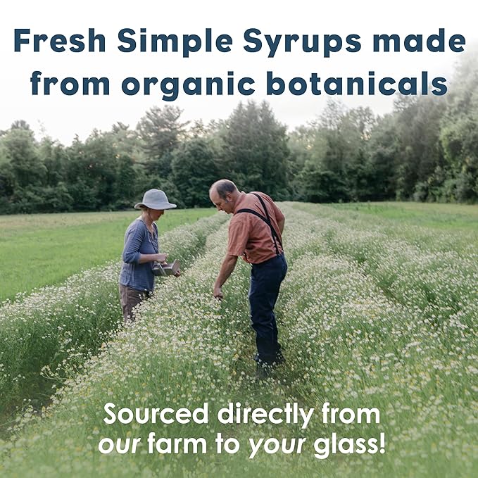 Bluestem Botanicals Organic Triple Mint Simple Syrup, 8 oz, Cocktail and Mocktail Mixer for Drinks, Non-Alcoholic, Peppermint, Spearmint, Chocolate Mint
