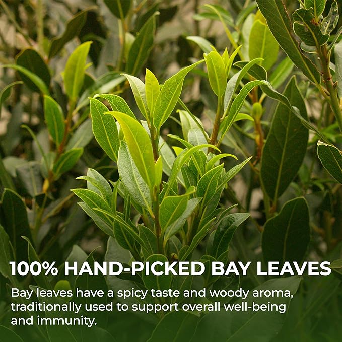 Bay Leaves Tea - 550 Dried Whole Leaves, 4.06 oz, Hojas de Laurel, 100% Natural Sun Dried, Caffeine-Free Herbal Tea, For Brewing or Cooking, Immune & Wellness Support