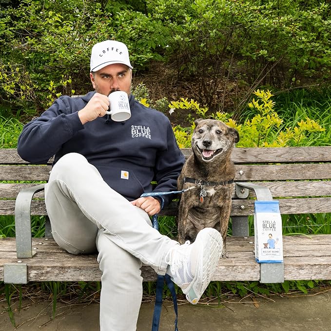 Stella Blue Cold Brew Coffee Bags, Electric Ave Blend, Dark Roast Ground Coffee, Smooth, Bold and Refreshing 100% Arabica, 6 Brew Packets, Makes 24 Cups, Rainforest Alliance Certified